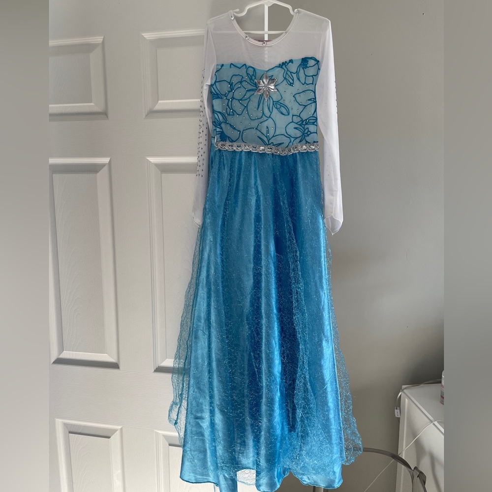 Elsa costume frozen